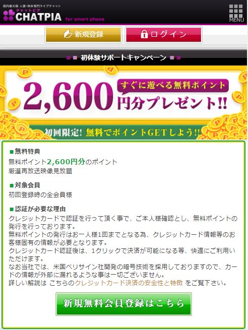 チャットピア参考画像2